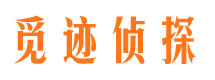 山南市私家侦探